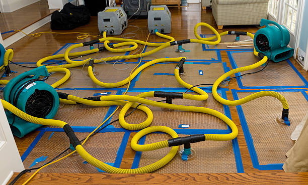 Professional Crawl Space Water Removal technician working in Lemon Cove, CA